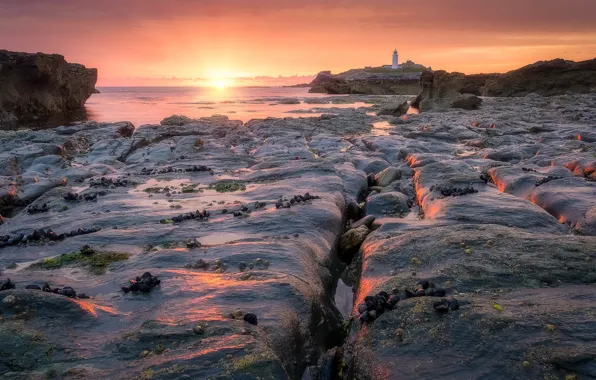 Picture sea, sunset, shore, lighthouse