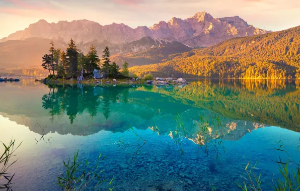 Forest, trees, mountains, nature, lake, Germany, Alps, Lake Eibsee