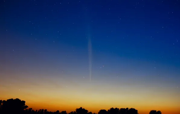 Picture stars, dawn, comet, Southern hemisphere, Lovejoy