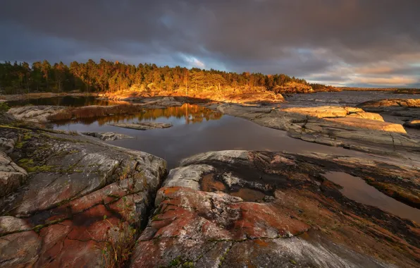 Autumn, forest, landscape, sunset, nature, lake, stones, Lake Ladoga