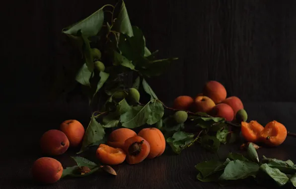 Leaves, the dark background, food, fruit, still life, composition, apricots