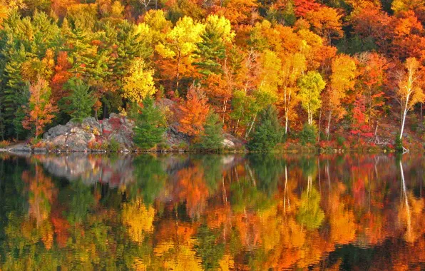 Picture autumn, trees, reflection, rocks, paint, slope, Canada, Ontario