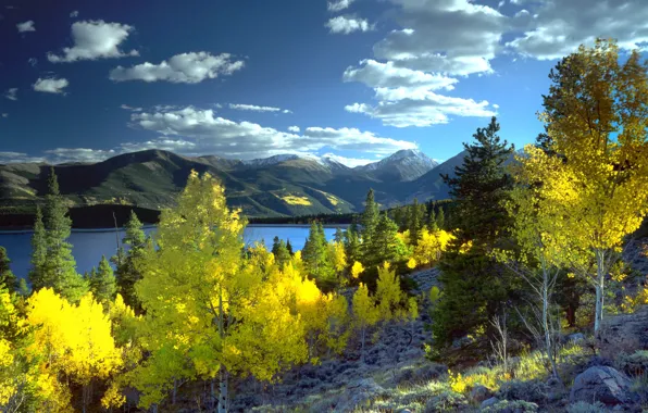 Autumn, trees, landscape, mountains, nature, lake, Colorado, USA