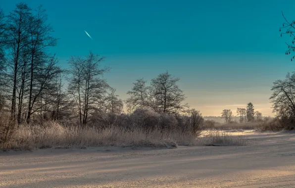 Picture winter, landscape, morning