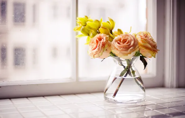 Flowers, roses, bouquet, vase