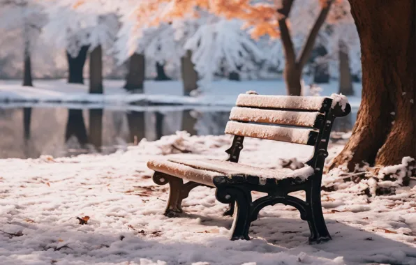 Picture winter, autumn, leaves, snow, bench, Park, trees, park
