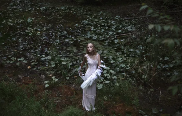 Picture girl, wings, Swan Lake, Aleah Michele