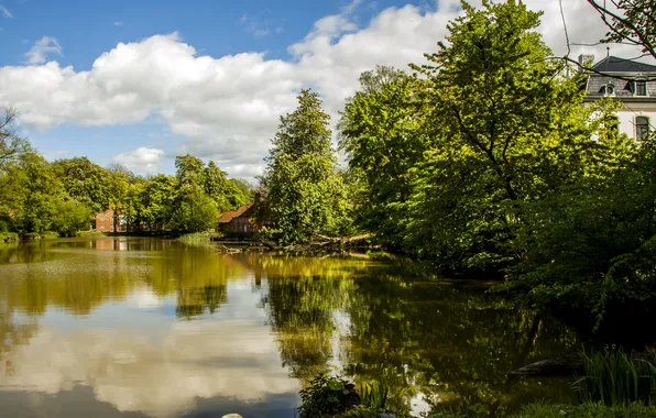 Summer, the sky, trees, nature, river, photo, Germany, Wangels
