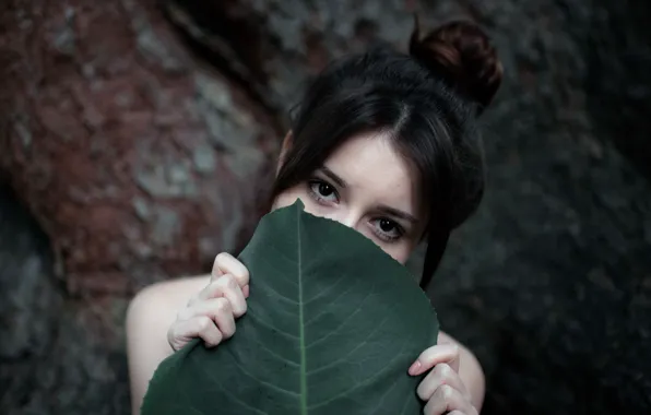 Picture leaves, girl, portrait