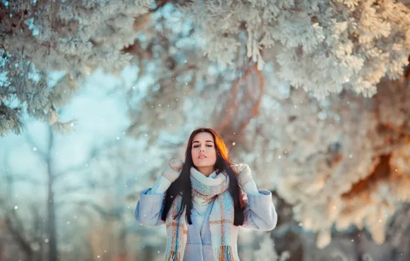Winter, frost, forest, look, girl, light, snow, trees