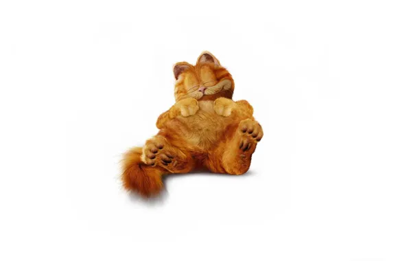 Picture cat, minimalism, fluffy, red, sleeping, Garfield, Garfield