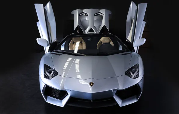 Roadster, LP700-4, Aventador, 2014, Lamb Borghini