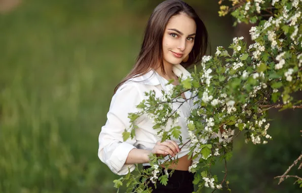 Look, girl, branches, flowering, bokeh, Sergey Sorokin