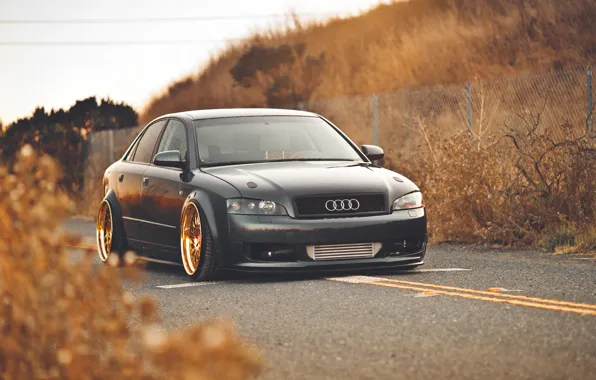 Autumn, gold, Audi, audi