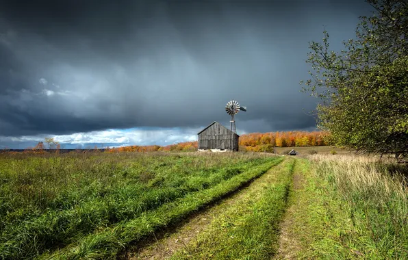 Picture field, autumn, landscape, house, windmill