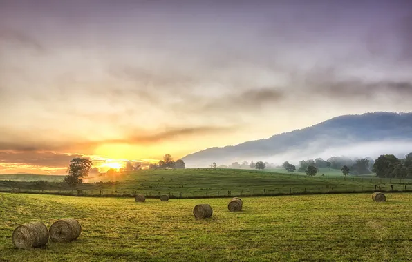 Field, landscape, sunset, hay