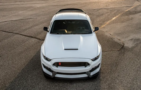 Shelby, Hennessey, front view, GT350R, Hennessey Shelby GT350R