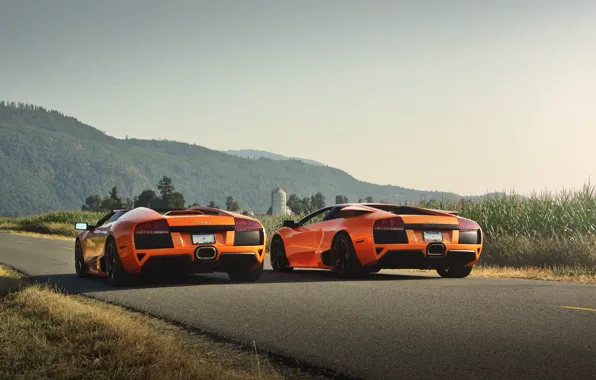 Lamborghini, murcielago, orange