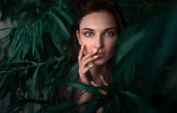 Picture look, leaves, girl, branches, face, portrait, hands, manicure