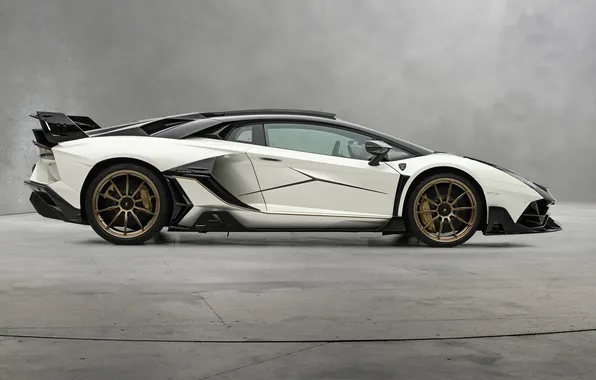 Power, supercar, sports car, supercar, Lamborghini Aventador, Mansory, sports car, the only instance