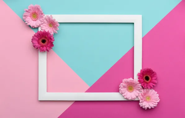 Line, flowers, background, pink, holiday, blue, triangles, color