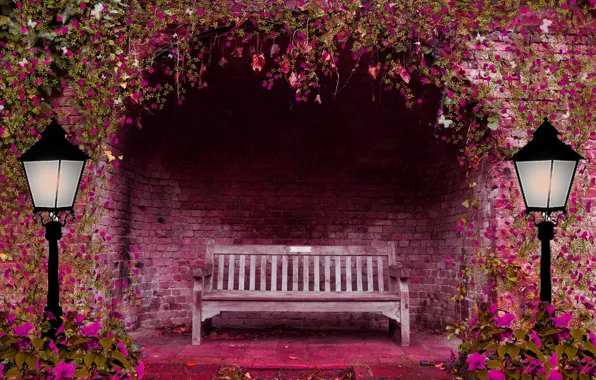 Flowers, bench, pink, lights, arch, spring garden