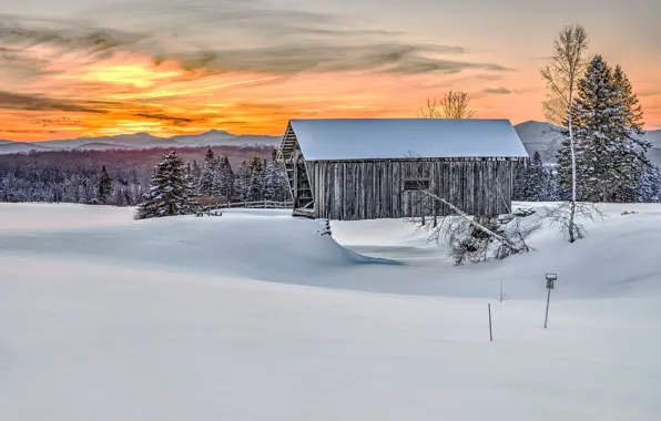 Picture winter, sunset, house