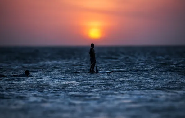 Picture sea, sunset, horizon, surfer, extreme sports, the stand-up paddle classes