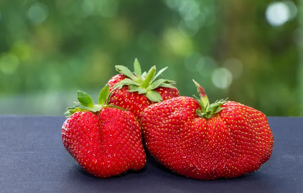 Picture Strawberry, Berries, Bokeh, Strawberries