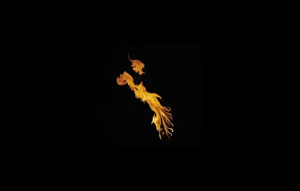 Fire, Flame, black background