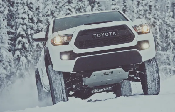 Winter, snow, white, Toyota, pickup, snow, pickup, TRD