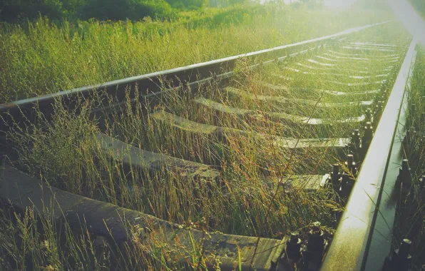 Picture drops, iron, road. the sun