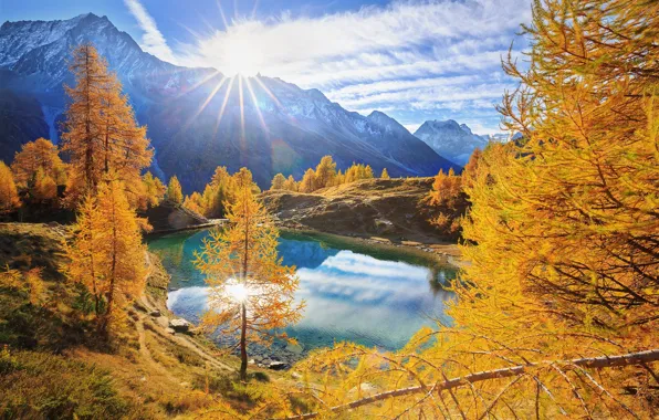 Trees, mountains, lake, sunrise, dawn, Switzerland, Alps, Blue lake