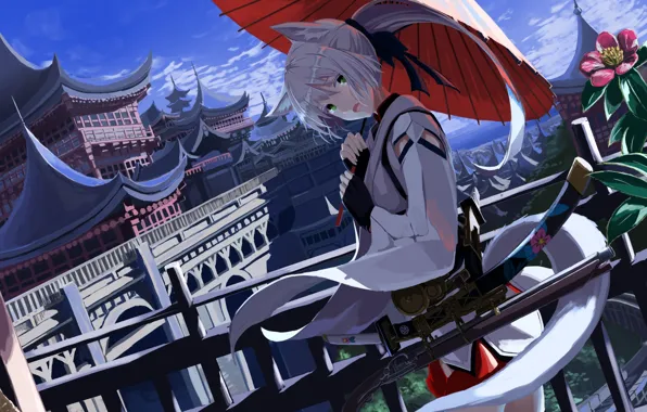 Picture Japan, umbrella, ears, the city, girl