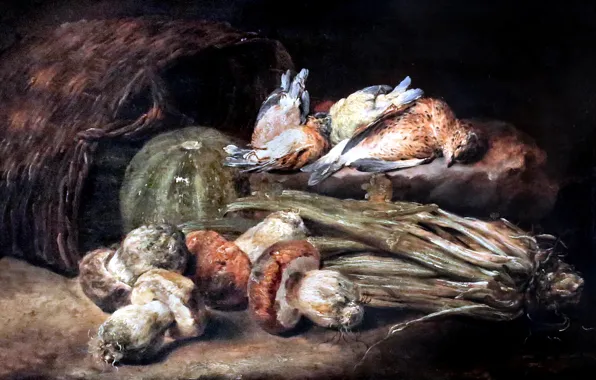 Picture, mushrooms, Brussels, Jan Fyt, Mushrooms