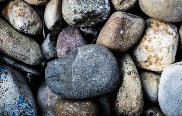 Macro, stones, grey, stones