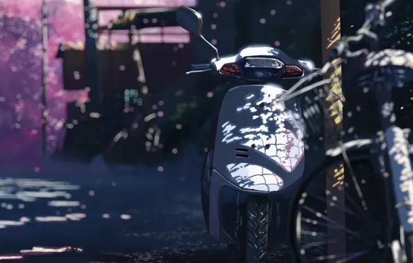 Sakura, 5 centimeters per second, Makoto Xingkai, motorcycle