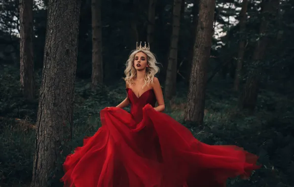 Picture forest, girl, crown, dress, in red, Fairy Tale, Bird Man