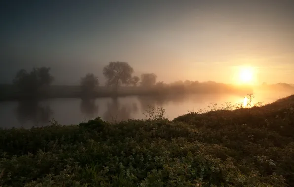 Picture summer, trees, fog, river, sunrise, morning