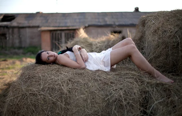 Picture look, girl, house, brunette, hay