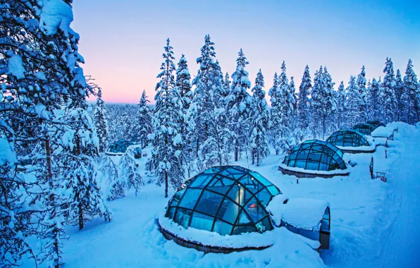 Picture Winter, Trees, Snow, Finland, Finland, Lapland, Lapland, Kakslauttanen Arctic Resort