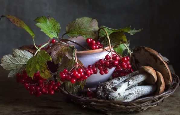 Autumn, berries, mushrooms, boletus, Kalina