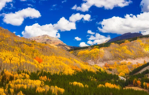 Picture autumn, forest, clouds, mountains, Colorado
