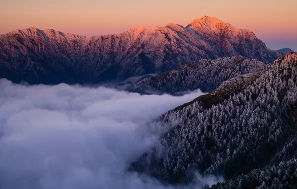 Picture cold, winter, frost, forest, the sky, snow, landscape, sunset