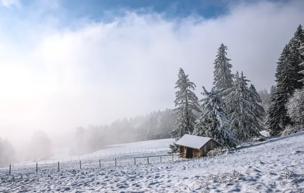 Winter, frost, field, forest, the sky, clouds, snow, nature