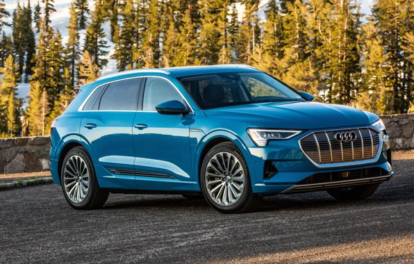 Audi, E-Tron, 2019, electrocreaser, 55 Four