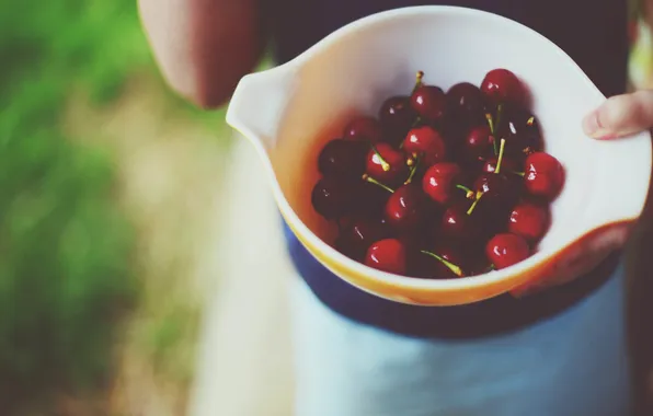 Picture cherry, berries, cherry