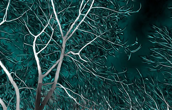 Trees, night, rendering, the wind, branch