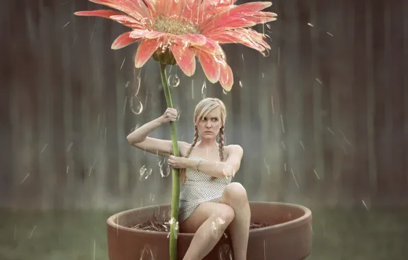 Flower, girl, drops, art, shower