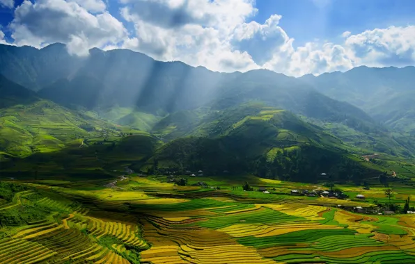Picture field, Asia, China
